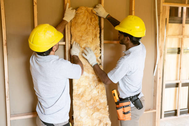 Best Attic Insulation Installation in Hesston, KS